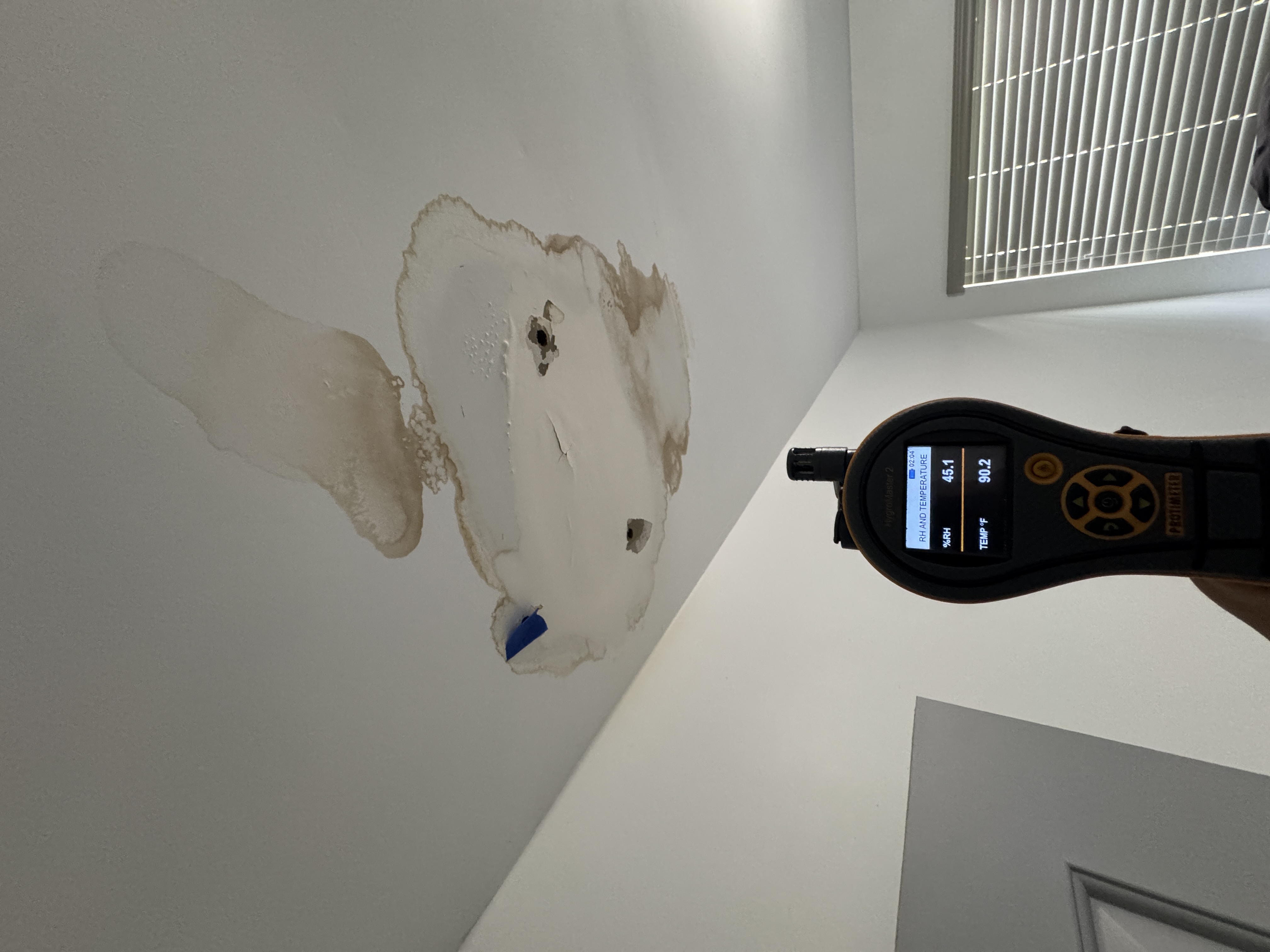 Inspección profesional