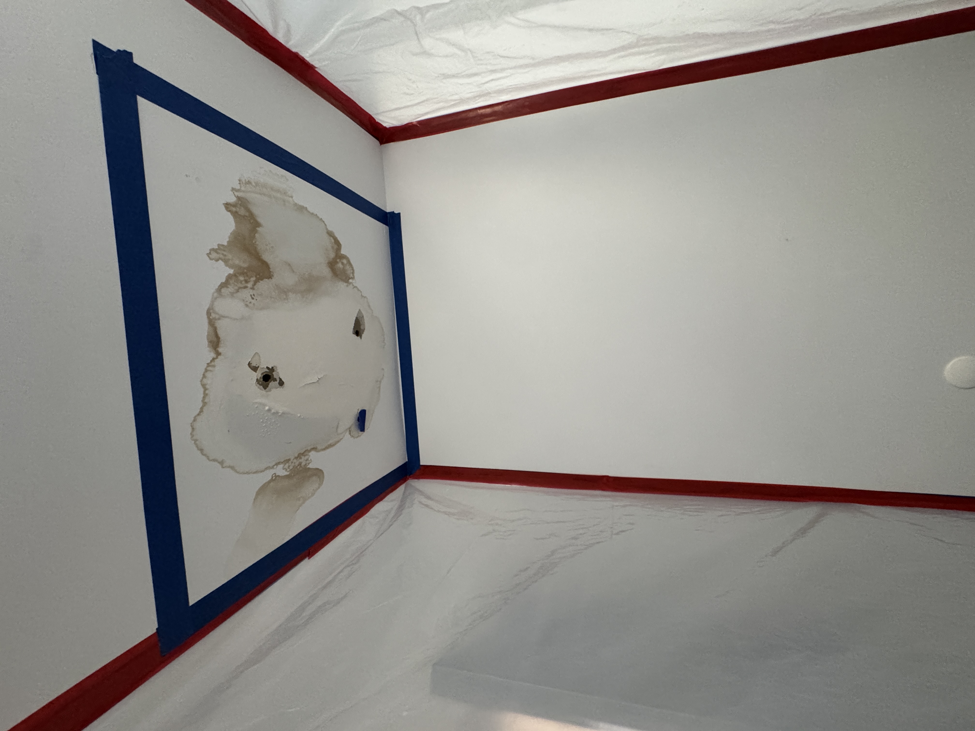 Daño por agua en techo