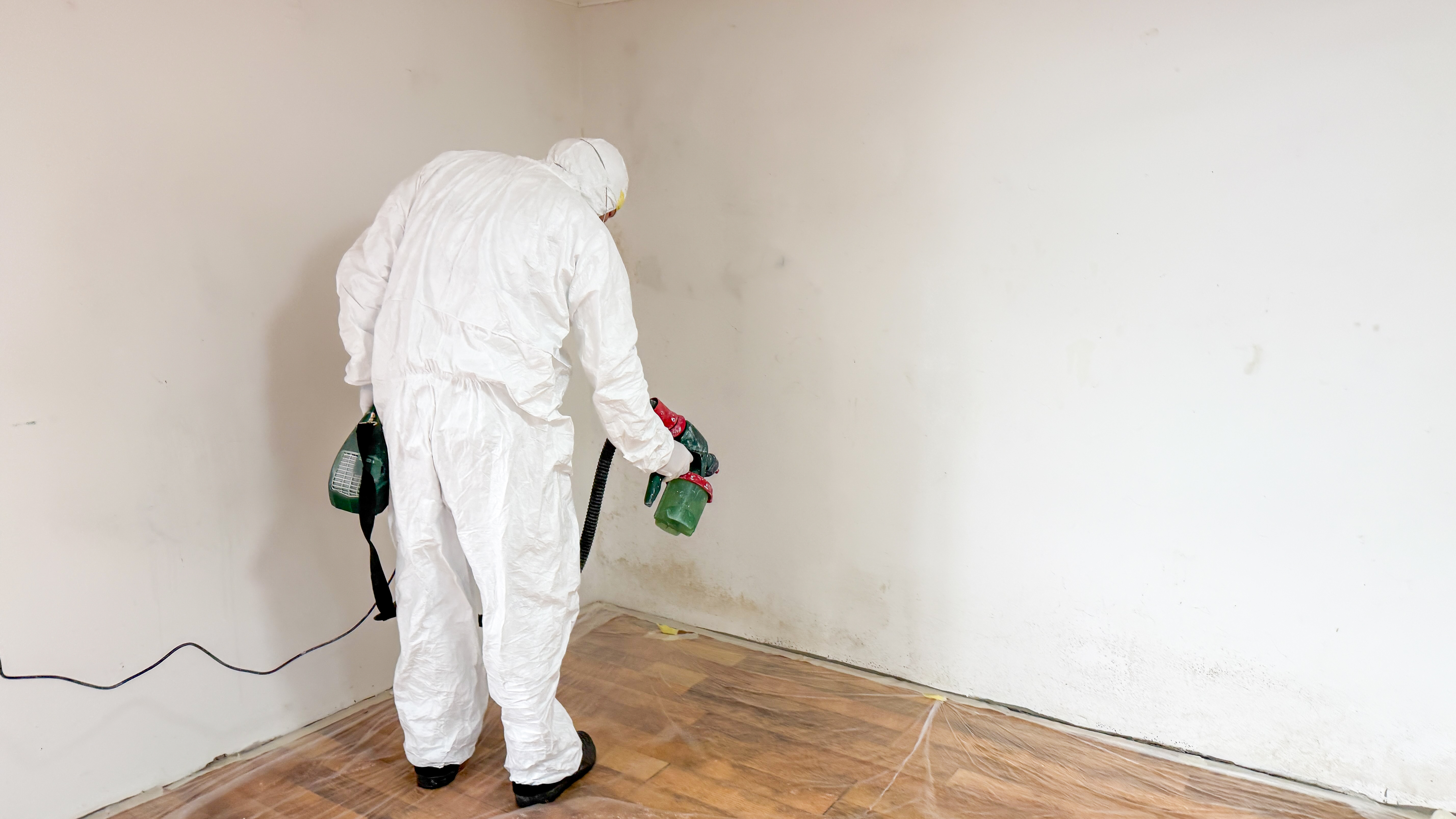 Remediación de moho